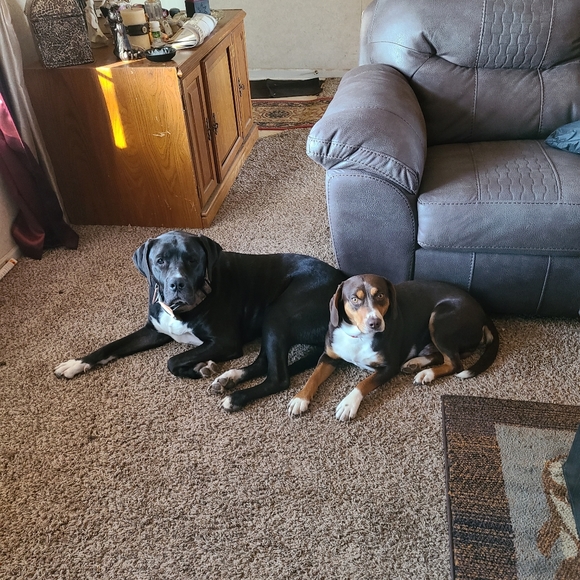 Meet your Posher, Christina - Picture 3 of 4